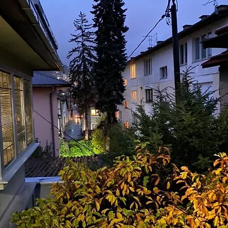 Logavina 58